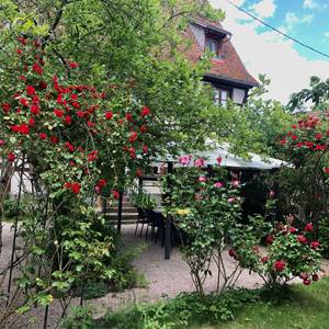 Le jardin privatif
