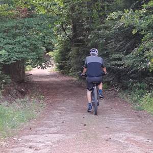 VTT en forêt