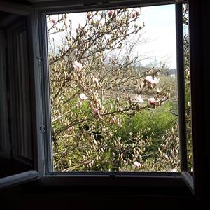 Pont de vue depuis la chambre