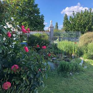 Jardin