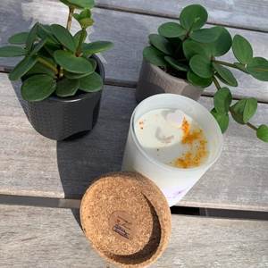 FB_IMG_1661157159402