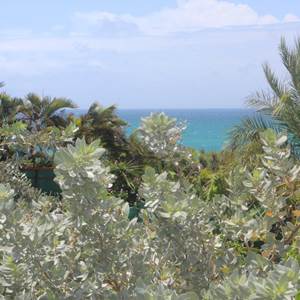 Villa Lagon jardin d'ornement puis vue mer depuis la villa Lagon