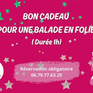 BON CADEAU POUR UNE BALADE EN FOLIE ( Durée 1h) (1).jpg-gifts