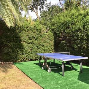 pingpong_0