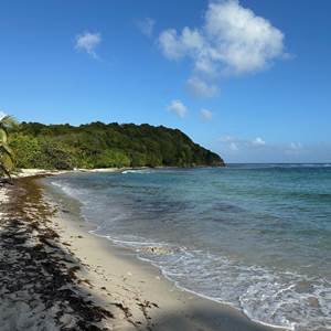 Iguane House villas & Micro Spa randonnée littorale depuis la villa Lagon