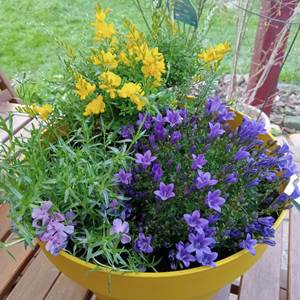 Table ronde sur la terrasse
