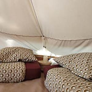 IMG_20231119_093302