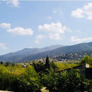 Mas Néoulous vue Albères