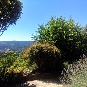 Vue Terrasse
