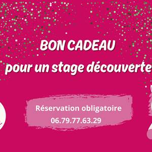 BON CADEAU POUR UNE BALADE EN FOLIE ( Durée 1h) (2).jpg-gifts