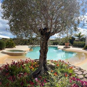villas-en-corse