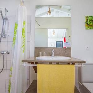 Iguane House villas & Micro Spa Villa Corail salle de douche