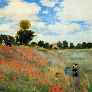 poppies-special-offer