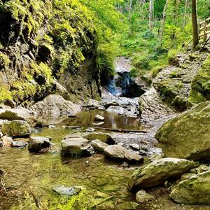 Les magnifiques décors en balade dans le Ninglinspo