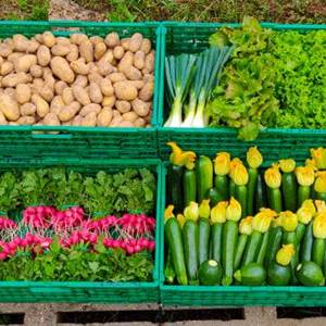 216603180_1340416949736917_6010570053321962727_n