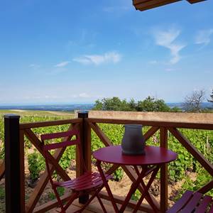 Vue de la terrasse