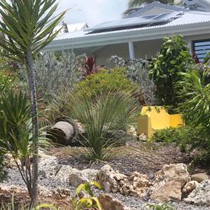 Iguane House villas & Micro Spa Villa Corail vue depuis le jardin paysagé