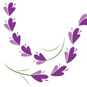 Fleur de lavande illustration