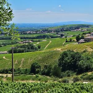 Vue panoramique