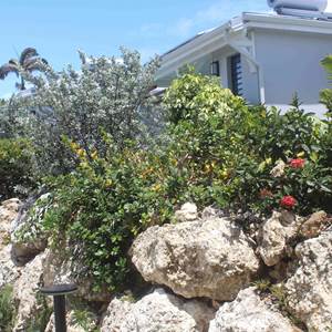 Iguane House villas & Micro Spa Villa Mangrove vue depuis le parking