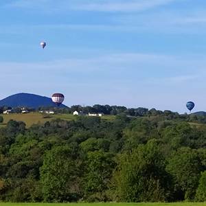 Montgolfières  vues de la villa et l'appartement