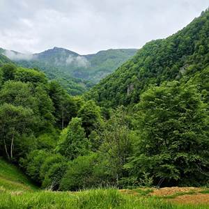 Vue sur les montagnes depuis le jardin
