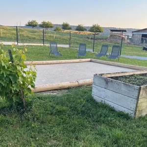 Terrain de boules, transats, pieds de légumes et vigne pour profiter pleinement de l’extérieur à disposition de nos voyageurs