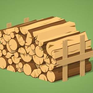 Bois de chauffage pour le poêle à bois