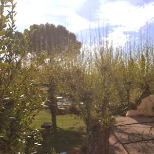 La vue depuis la chambre Bleu Céruléum
