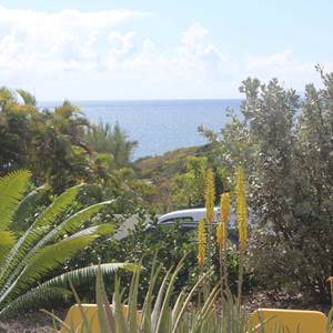 Iguane House villas & Micro Spa Villa Mangrove vue mer