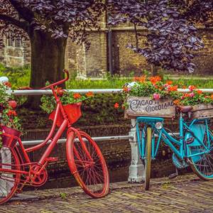 cycles-4254752_1280-options