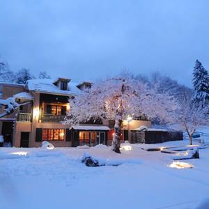 DSCN1322-special-offer