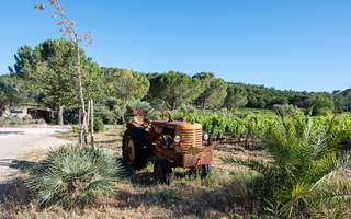 VIEUX TRACTEUR 1 REDI