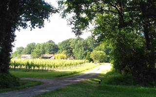 Arrivée  la roulotte coté bois