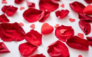 petale-de-rose-gite-jacuzzi-couple-chinon-touraine