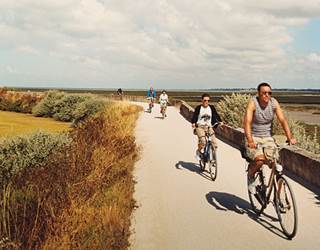 traveler_bikeandco