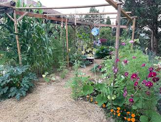 Un potager peut être un lieu de promenade