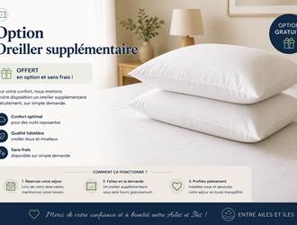 Oreiller supplémentaire