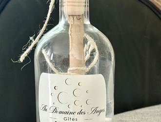 bouteille a` la mer