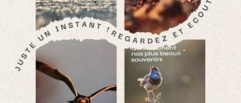 Sortie du guide touristique Vendée du Sud 2025