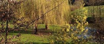 Spring