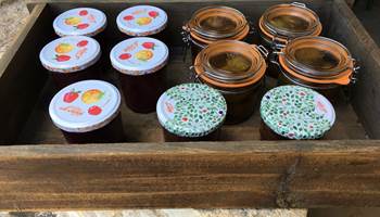 Confitures et figues confites-photo-news