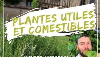 Copie de plantes comestibles-presta
