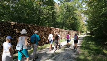 IMG_20190916_145623-presta