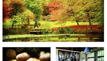 -news