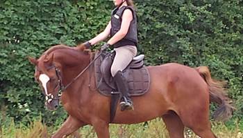20140802_102541-presta
