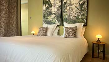 Chambre Galabé 9 - La villa des cannes - Sainte Marie - île de la  Reunion-presta