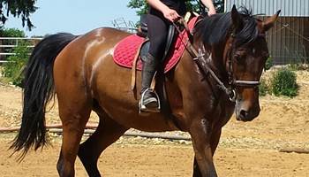2014-06-07 17.22.49-presta