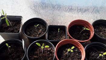 LES FRILEUSES RESTENT AU CHAUD!-photo-news