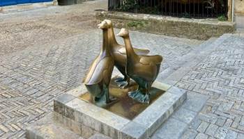 #sarlat #perigord #dordogne #sarlattourisme #sudouest #visiteguidee #baladesguideesdecamille #tourisme #patrimoine #histoire #anecdotes #gastronomie #france #dordogneperigordtourisme #visitfrance #visitdordogne #perigordnoir-presta